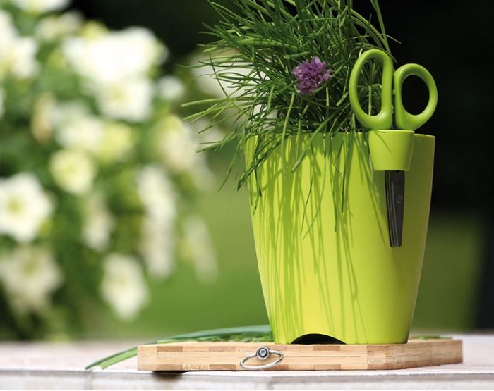 Květináč na bylinky Limes uno 1,9l - Grafitová